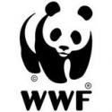  Opération 60 minutes pour la Terre Samsung & l'association WWF