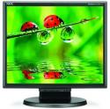NEC MultiSync LCD175M, écran LCD 17 pouces écologique