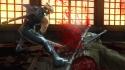 Images de : Ninja Gaiden 2 3