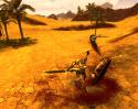 Images de : Age Of Conan : Hyborian Adventures 2