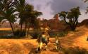 Images de : Age Of Conan : Hyborian Adventures 10