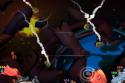 Images de : Worms : A Space Oddity 3