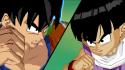 Images de : Dragon Ball Z : Burst Limit 15