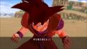 Images de : Dragon Ball Z : Burst Limit 24