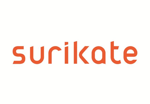 Logo Surikate